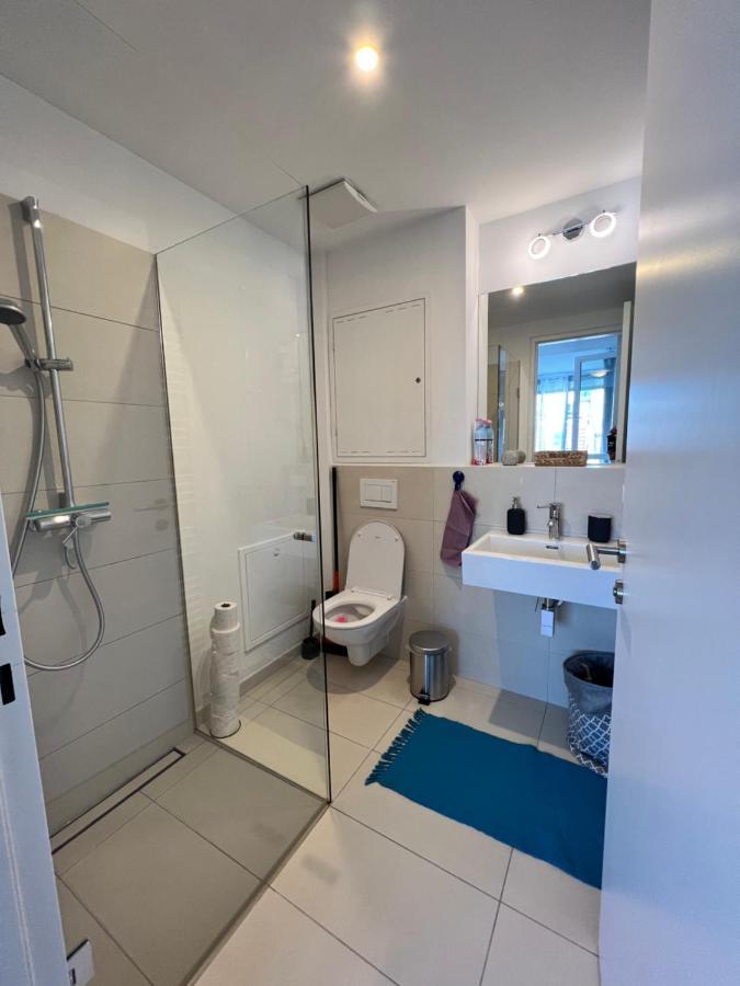 Apartment Wunderschönes Wien